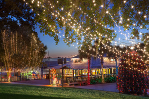 Mt Dora Christmas 2